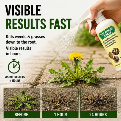 🔥🔥2026 SALE -300ml!!!- Fast-Acting Natural Weed & Grass Killer Spray