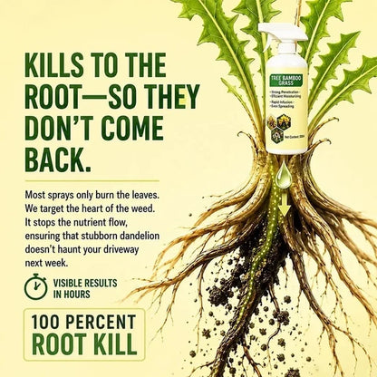 🔥🔥2026 SALE -300ml!!!- Fast-Acting Natural Weed & Grass Killer Spray