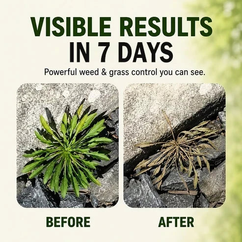 🔥🔥2026 SALE -300ml!!!- Fast-Acting Natural Weed & Grass Killer Spray